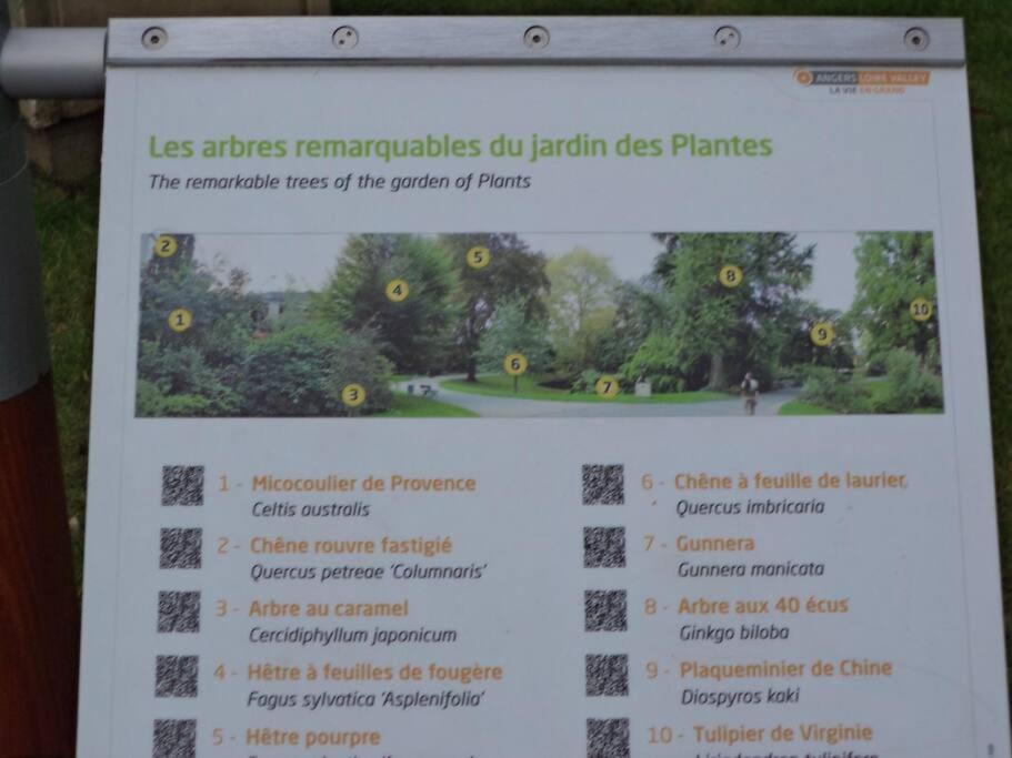 Le Grey-Jardin Des Plantes-Centre Des Congres Apartment Angers Bagian luar foto